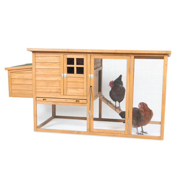 Pet Depot Express - Casa Para Gallinas Flat Top Complete Chicken